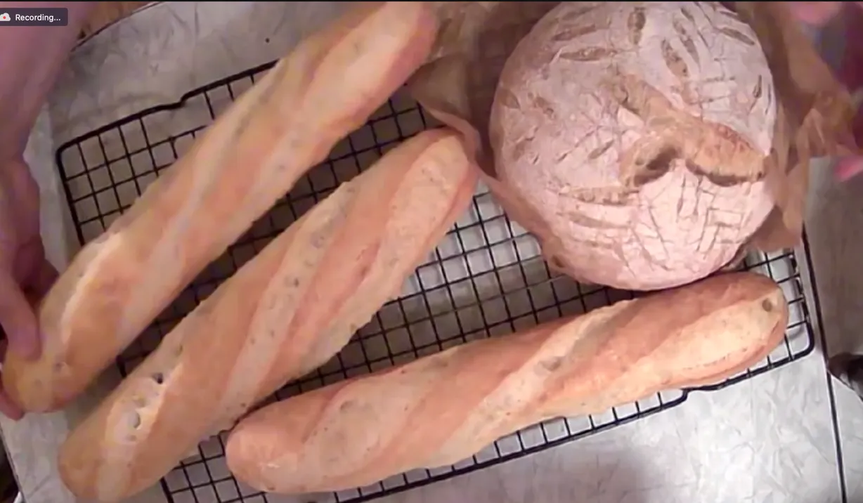 An overhead view of freshly baked bread cooling on a wire rack. The image shows three baguettes and one round loaf of bread, all with golden-brown crusts. The 'Recording...' label is visible in the top left corner, indicating that this image was captured during a video session.